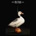 Extended Sound Of The 80s / Schn�ppchen