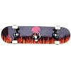 Pro Skateboard Complete Krown Ace Spade 7 75