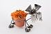BANDANA/YARDBIRDS Collectible Metal TERRIER Puppy Dog 6 FLOWER POT HOLDER