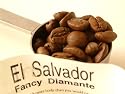 Organic El Salvador Fancy SHG EP Santa Petrona Estate Coffee, Drip Grind