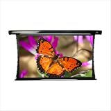 Elite CineTension2 Series TE120VW2-A – Projection screen – 4:3 – AcousticPro