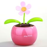 NEEWER® Solar Powered Flower Pot & Plant