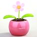 Solar Powered Flower Pot & Plant