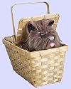 Rubies Costume Wizard of Oz Dorothy's Toto in a Basket