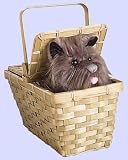 Deluxe Toto in a Basket