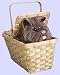 Deluxe Wizard of Oz Toto in a Basket