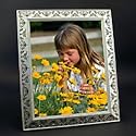 8X10 SWAROVSKI FRAME - 8X10 SILVER PLATED FRAME WITH SWAROVSKI CRYSTALS - frame