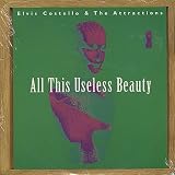 All This Useless Beauty