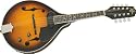 Rogue FM-80E Acoustic-Electric Mandolin
