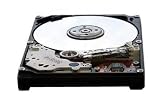 Apricorn Mass Storage 4200 RPM 20 GB Hard Drive (Drive Only w/Caddy) for Toshiba Tecra 8000 Series