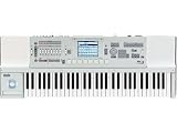 ��KORG M3-61