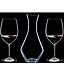 Riedel Vinum Cabernet Decanter Gift Set