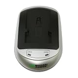 Olympus C-765 (Ultra Zoom), C-770 (Ultra Zoom) - Replacement Battery Charger (Incl. Car and European Plug Adapters)