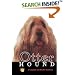 Otterhound (Rare Breed)
