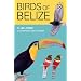 Birds of Belize (The Corrie Herring Hooks Series)
