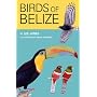 Birds of Belize (Corrie Herring Hooks Series)