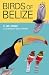 Birds of Belize (The Corrie Herring Hooks Series)