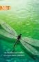 Dragonflies And Dinosaurs (Harlequin Next)