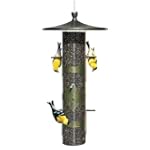 Birdscapes 736