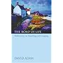 The Road Of Life: Reflections on Searching and Longing