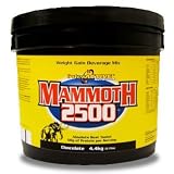 Intractive Nutrition Mammoth 2500 Chocolate