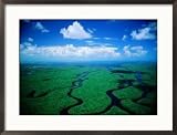 Aerial View of Wetlands, Everglades National Park, USA Framed Art Poster Print by Jim Wark, 29x21
