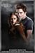 The Twilight Saga 2010 Oversized Poster Calendar