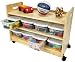 Toy Organizer with Casters