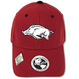 Arkansas Razorbacks Adult One-Fit Hat
