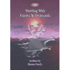Working With Fairies & Elementals (Insights Series)