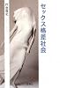 セックス格差社会 (宝島SUGOI文庫)