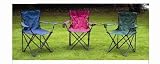 Folding Camping Style Chair