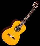 NEW TAKAMINE G SERIES ACOUSTIC GUITAR