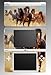 Horses Stallion Ponies Game Skin for Nintendo DSi XL