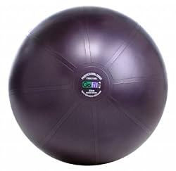 GoFit Ultimate Burst Resistant Core Stability Ball with Workout DVD (65 cm)