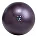 GoFit Ultimate Burst Resistant Core Stability Ball with Workout DVD (65 cm)