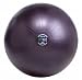 GoFit Ultimate Burst Resistant Core Stability Ball with Workout DVD (65 cm)