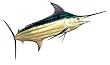 Marlin Decal - Fishing - Other