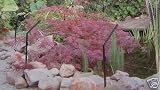 Heron cat SCARER electric fence koi pond fish defence