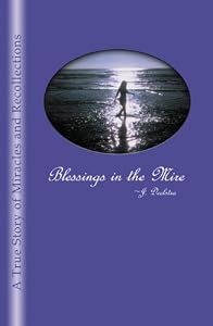 Blessings in the Mire: Jan Deelstra: 9780741438508: Amazon.com: Books