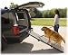 Pet Gear Tri-Fold Pet Ramp