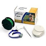 Innotek Rechargeable In-Ground Pet Fencing System