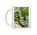 Wall germander (Teucrium chamaedrys) Photo Mugs
