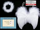 FashionWings Newborn Infant Size Baby Angel Wings and Halo Photo Posing Props, Bonus Frame