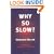 Why So Slow? The Advancement of Women