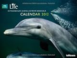BBC Life Meet the Planet Calendar 2012
