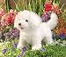 Plush Bichon Frise Puppet 10"