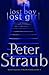 lost boy lost girl: A Novel
