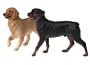 Breyer - Popular Dog Retriever & Rottweiler Gift Set - Companion Animals