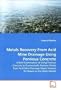 Metals Recovery From Acid Mine Drainage Using Pervious Concrete: A Brief Examination of Using Pervious Concrete to Economically Remove Metals from ... Waste Streams for Resale on the Open Market
